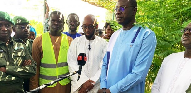 Journée nationale de l’arbre : Promovilles appelle au reboisement à Louga, sur l’axe Garage Touba